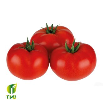 خرید و قیمت بذر گوجه DUDU هیبریدی گلخانه ای