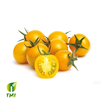 BERRA tomato