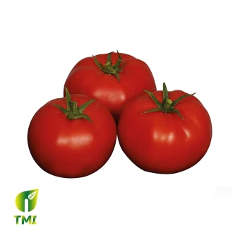 قیمت بذر گوجه LINUX-515 (لینوکس 515) هیبریدی گلخانه ای