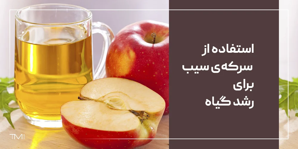 استفاده از سرکه‌ی سیب برای رشد گیاه